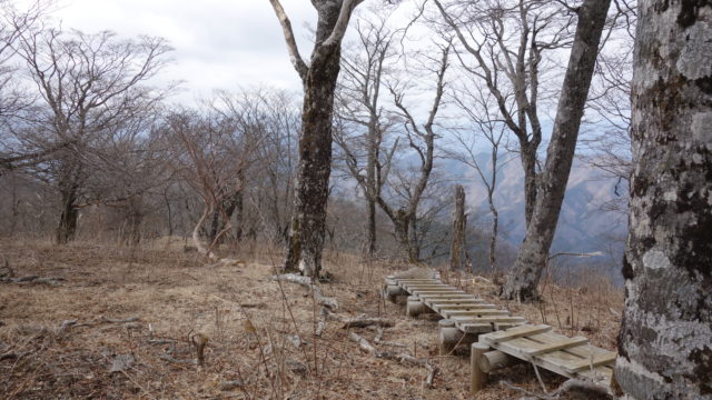 丹沢 | 大室山~加入道山縦走&キャンプの旅 | その3