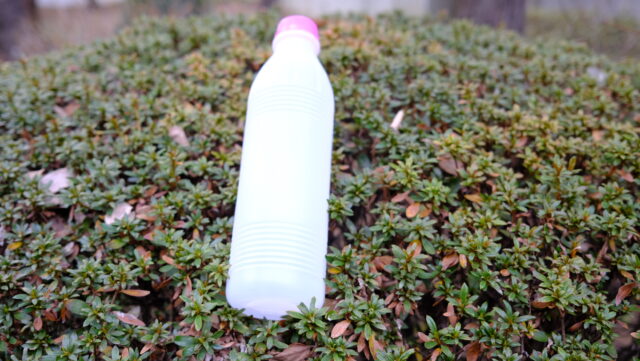 台北・迪化街で「ULなガラクタ」を掘る。林豐益商行のカゴと路地裏雑貨【台湾購入品】